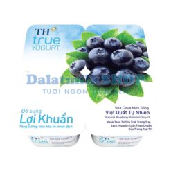 Sữa Chua Ăn Men Sống Việt Quất TH True Yogurt 100G - Dalatmilk Đà Nẵng